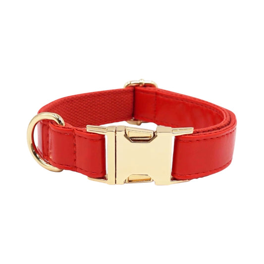 Collar chic mascota+grabado personalizado incluido