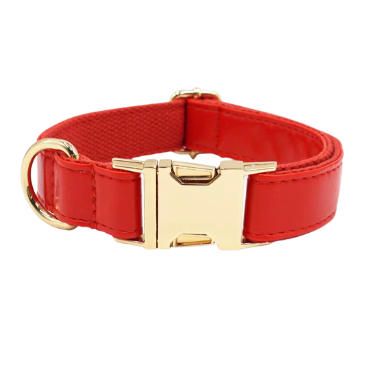 Collar chic mascota+grabado personalizado incluido